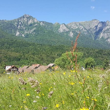 Yael Luxury Apartments 1 Buşteni Eksteriør bilde